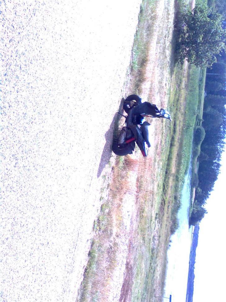 PGO hot 50  billede 2