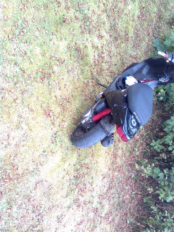 PGO hot 50  billede 3