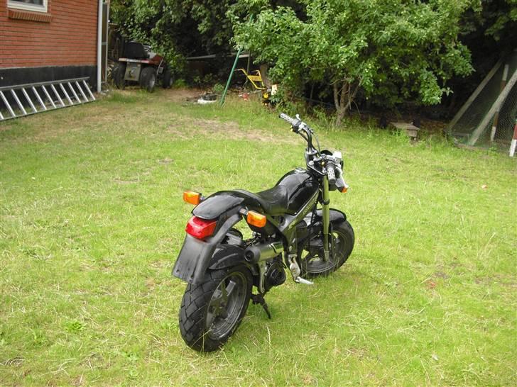 Suzuki Street Magic byttet billede 6