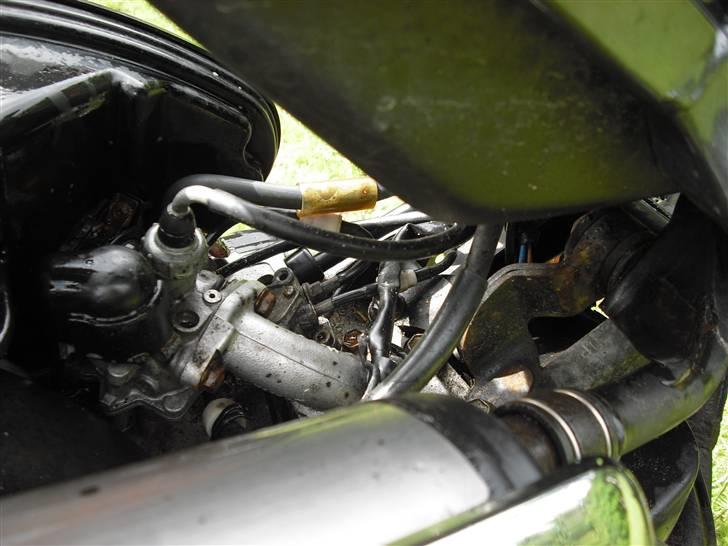 Suzuki Street Magic byttet billede 9