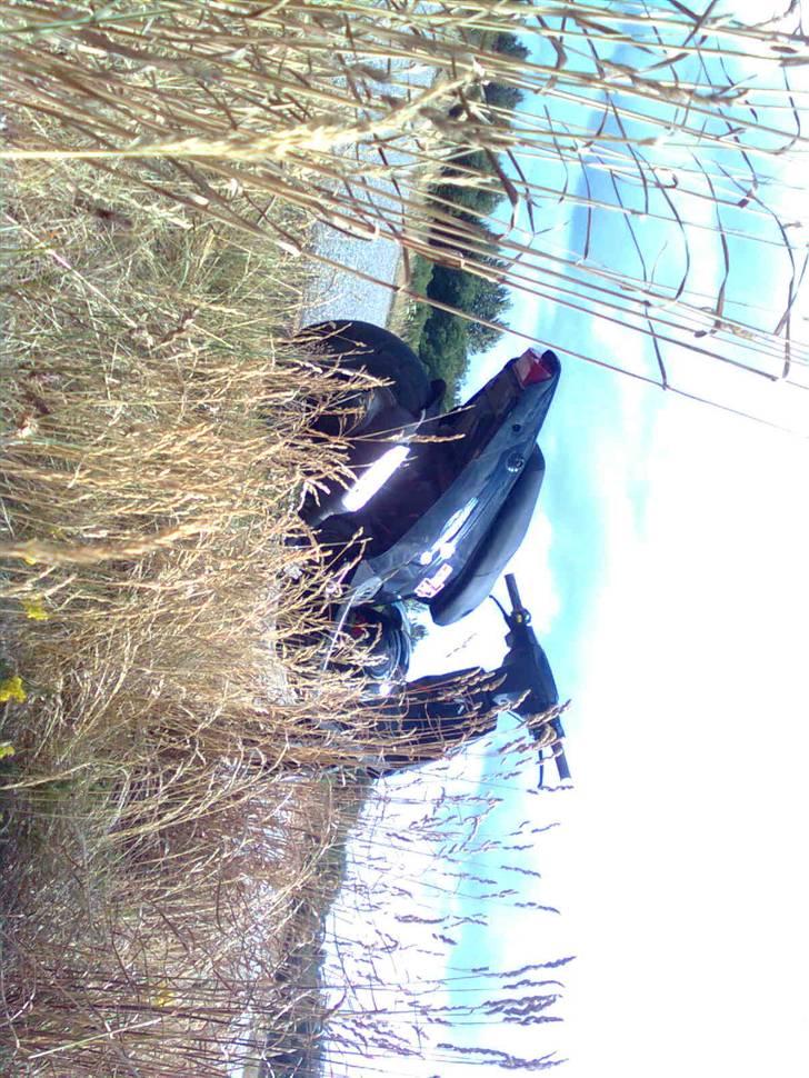 PGO hot 50  billede 10