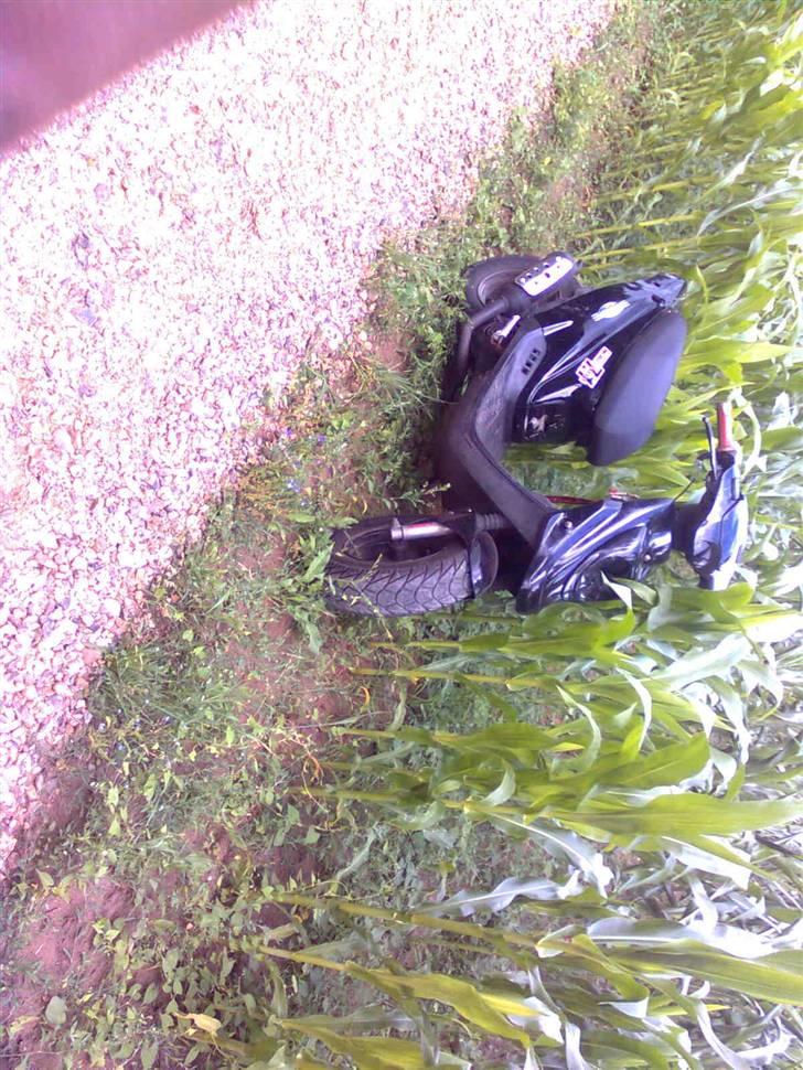 PGO hot 50  billede 11