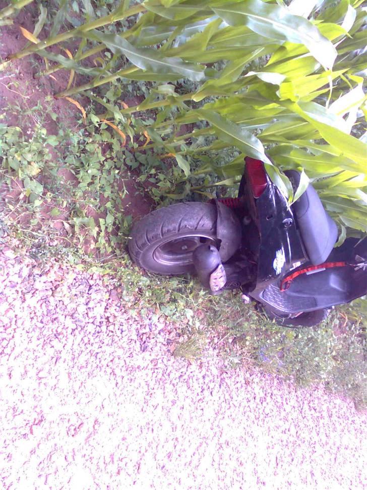 PGO hot 50  billede 12