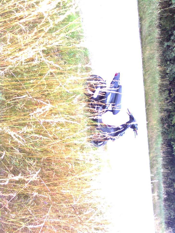 PGO hot 50  billede 14