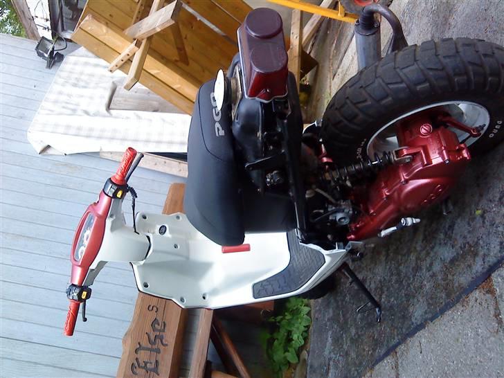 PGO hot 50 SOLGT billede 9