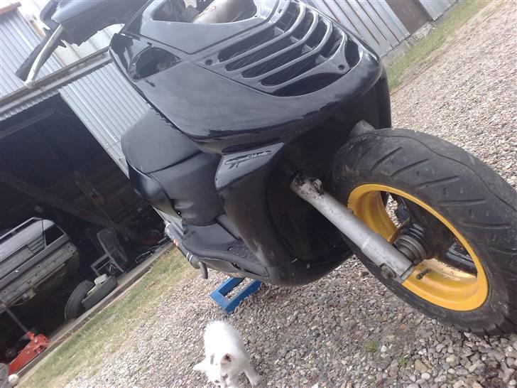 Aprilia Sonic lc Ts t7 billede 9