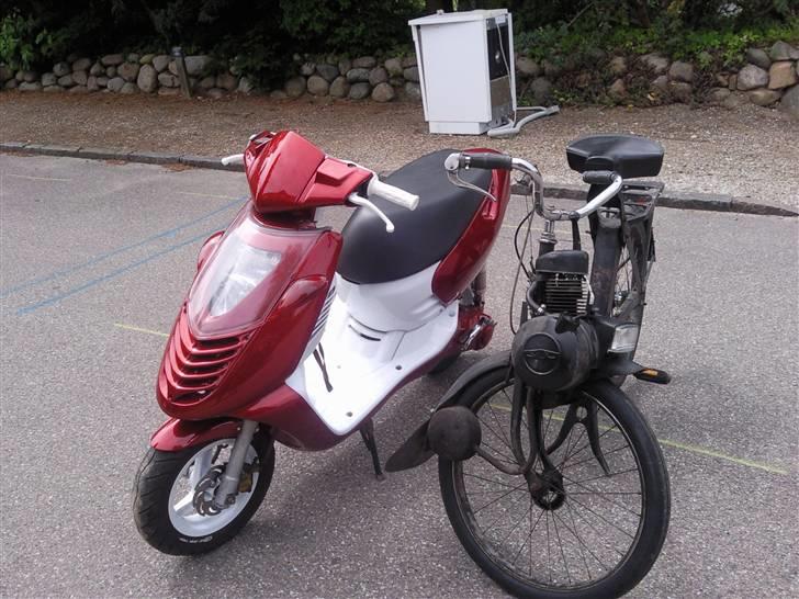 Velo Solex 3800 "Tøffe" - Tøffe og min øjesten (; billede 8