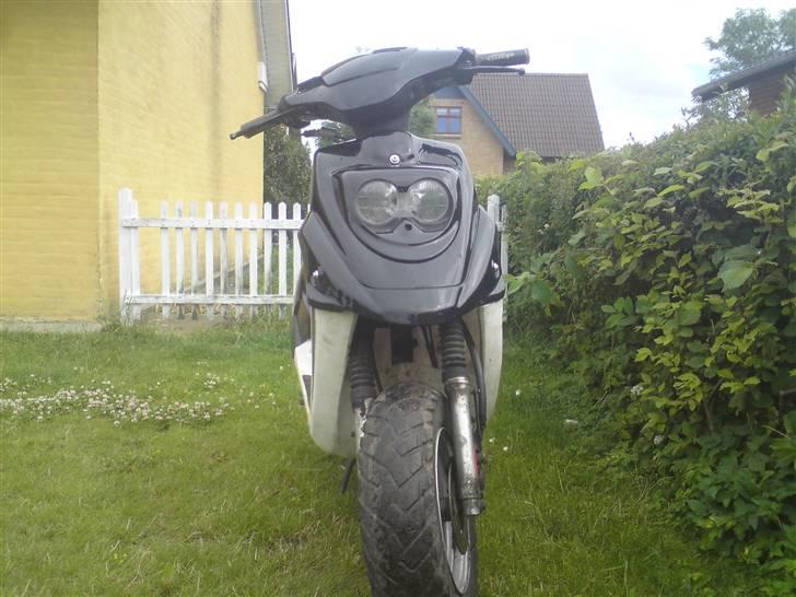 PGO hot 50 solgt til michael billede 3