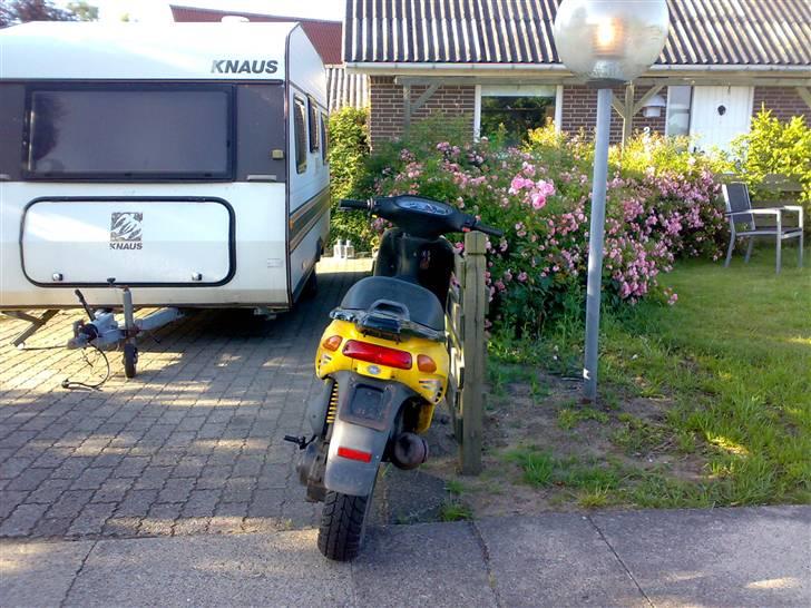 Piaggio typhoon (Solgt) billede 4