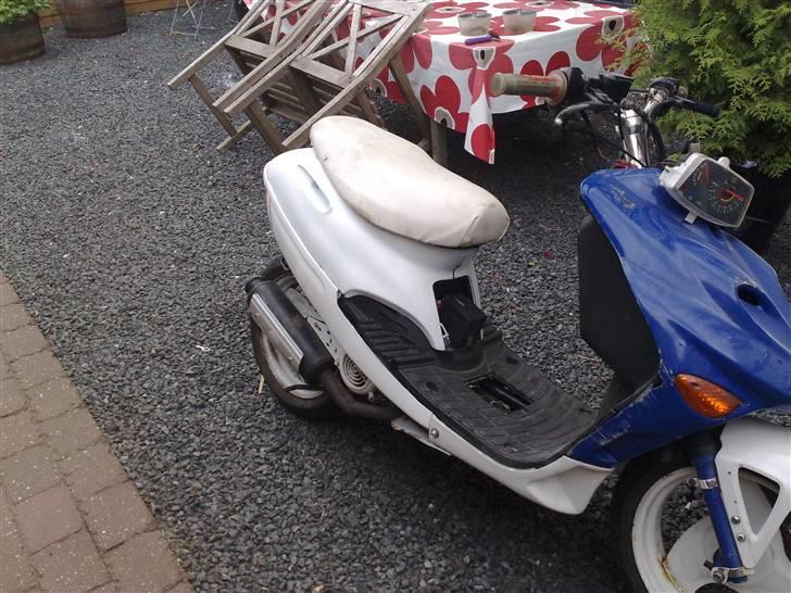 Adly silverfox (solgt) - så er de malede skjolde lige hurtigt sat på, synes selv det ser fint ud (; billede 14