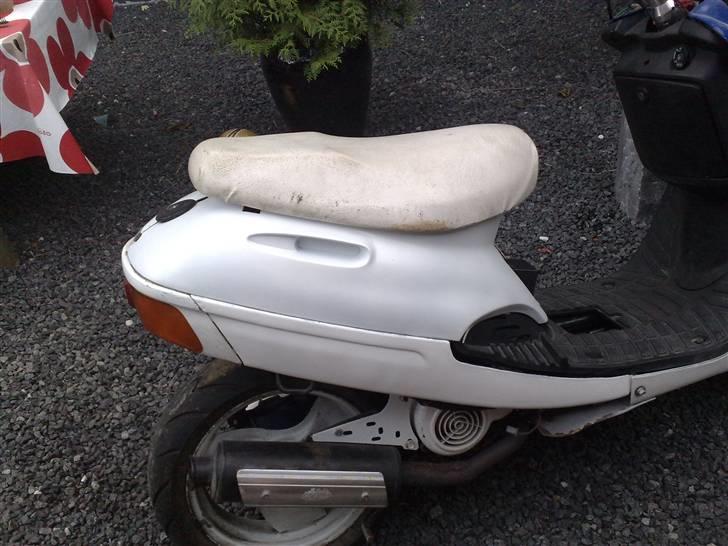 Adly silverfox (solgt) - så er de malede skjolde lige hurtigt sat på, synes selv det ser fint ud (; billede 15