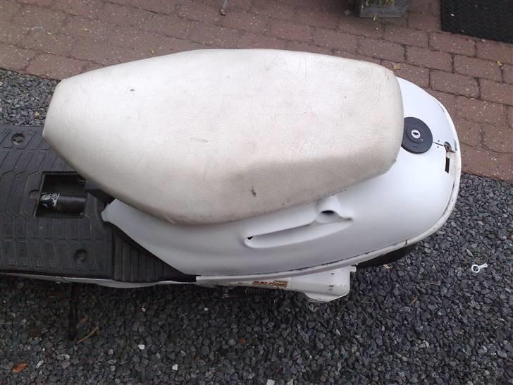 Adly silverfox (solgt) - så er de malede skjolde lige hurtigt sat på, synes selv det ser fint ud (; billede 16