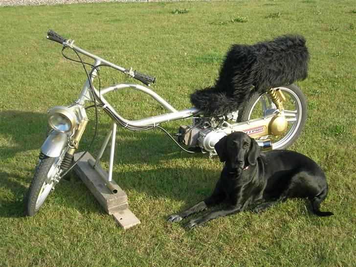 Honda   Customized "Walla/chop" - Walla/choppen sammen med vovsen. ;p billede 1