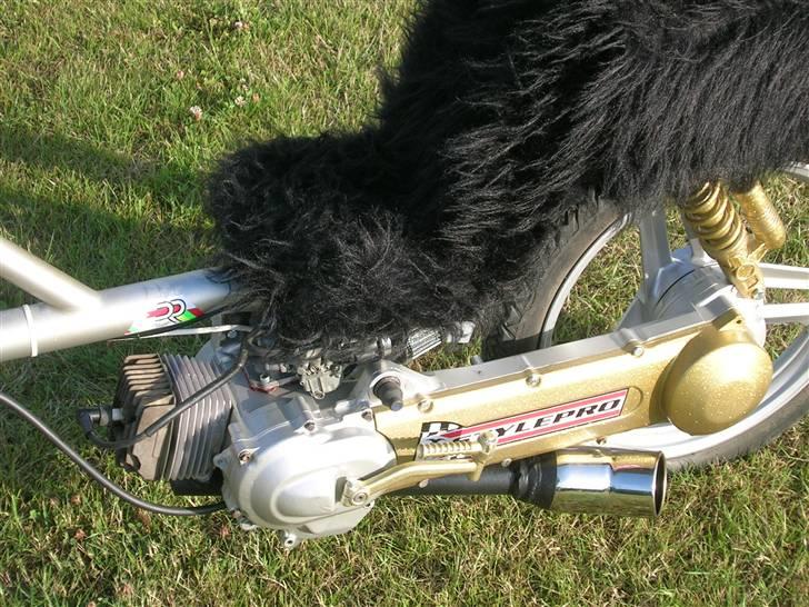 Honda   Customized "Walla/chop" - Walla/choppens vilde 50cc motor. :) billede 15