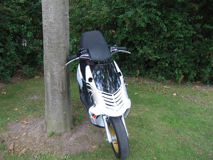 Aprilia sonic EVO2 LC 2007 billede 5