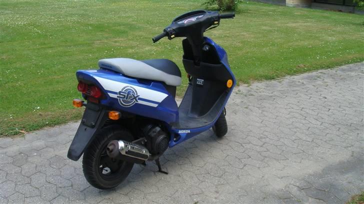 Honda SFX 50 billede 2