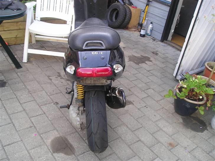 Piaggio Typhoon R-Setup *Solgt* billede 11