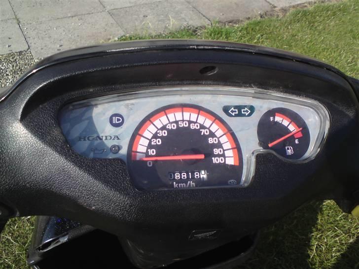 Honda SFX.  billede 7