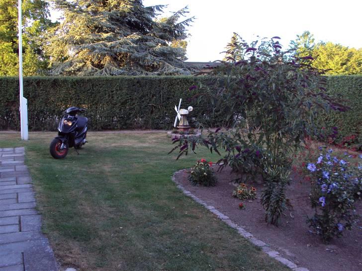 PGO Hot 50 SOLGT billede 6