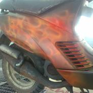 Atala HACKER til salg