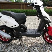 PGO Pmx Sport No Fear