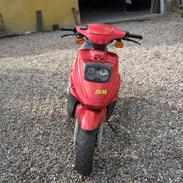 PGO Big Max