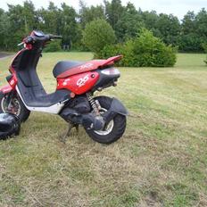 Peugeot TKR (Tulle) - FØR