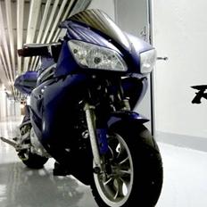 MiniBike Superbike R1/R6/X7 DD