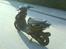 Aprilia sonic 