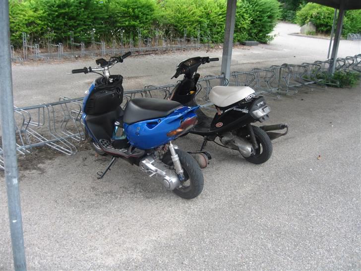 Aprilia Sonic billede 13