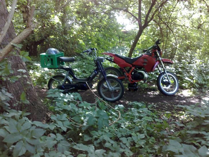 Vespa Bravo billede 6