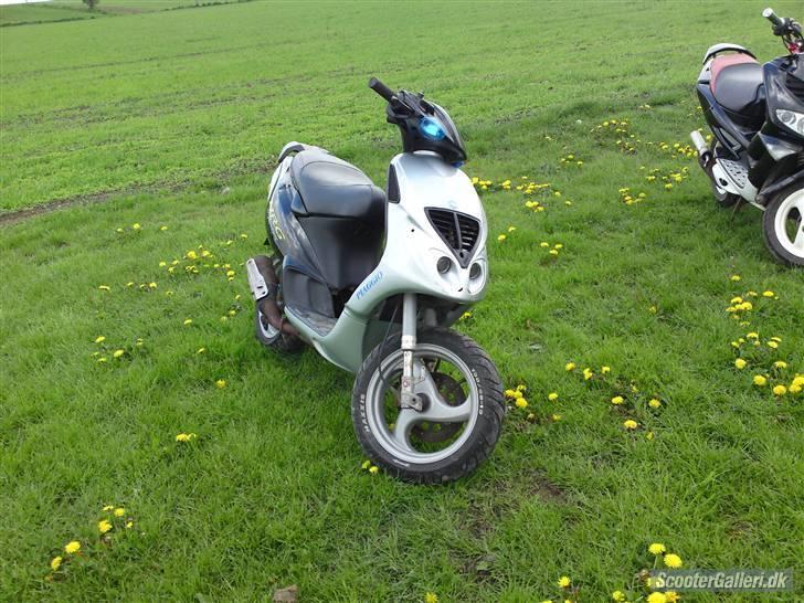 Piaggio nrg mc3 billede 1