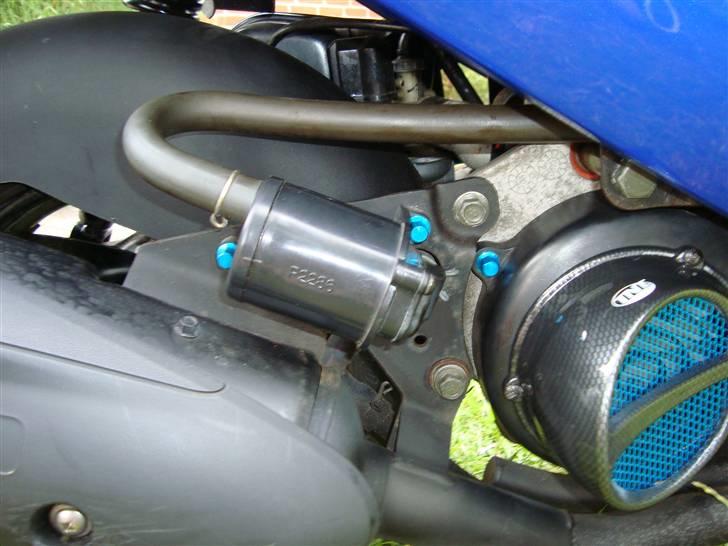 PGO Ligero *Solgt* - Carbon aircooler med blåt gitter og blå skruer. billede 6