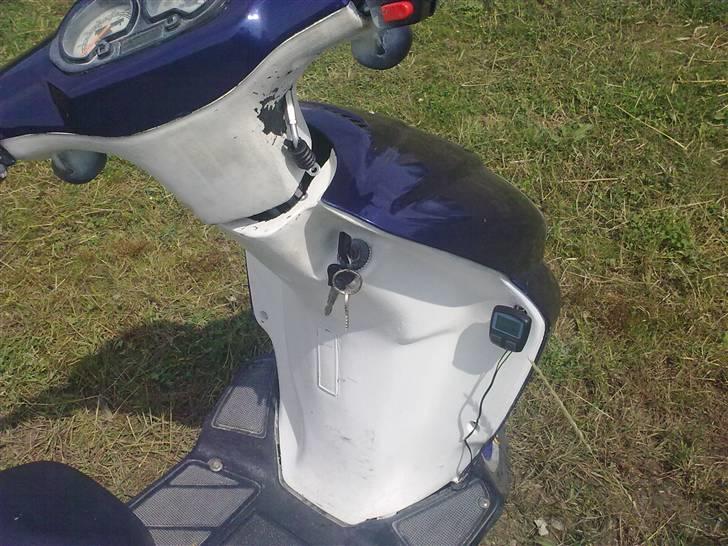 CPI Hussar *HOT500* *SOLGT* billede 16