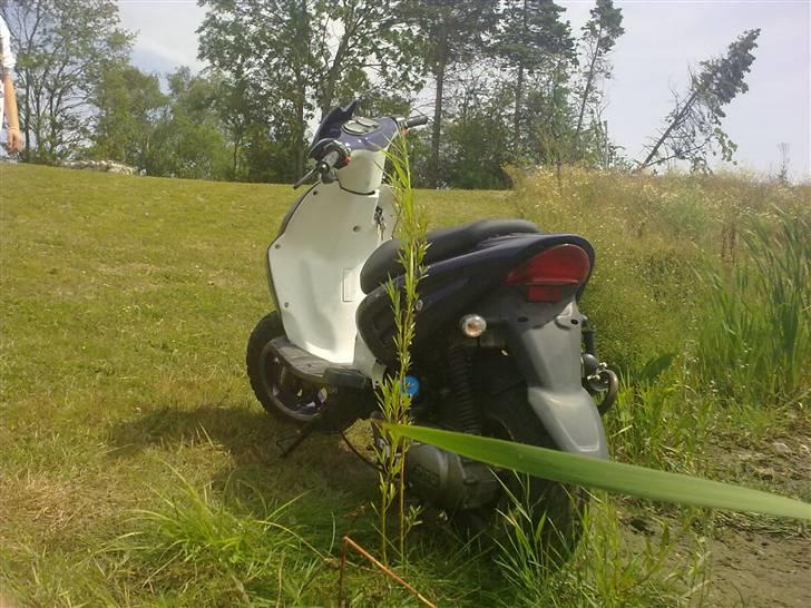 CPI Hussar *HOT500* *SOLGT* billede 17