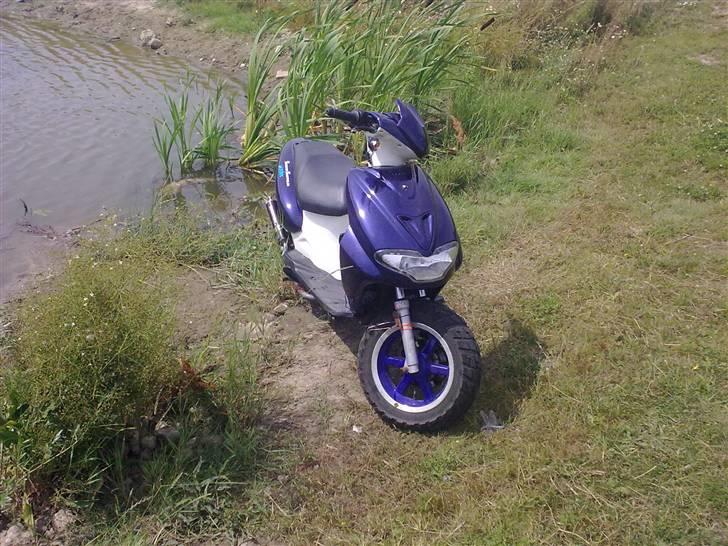 CPI Hussar *HOT500* *SOLGT* billede 18