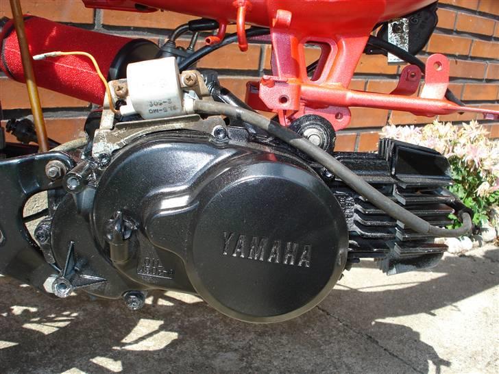 Yamaha sting billede 9