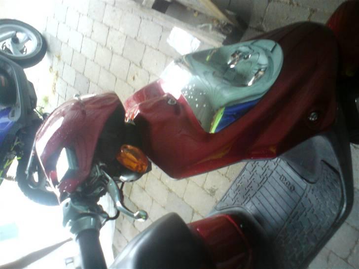 PGO hot50 jubilæums billede 2