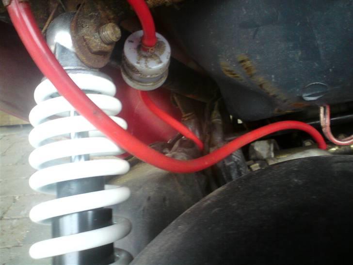 PGO hot50 jubilæums billede 8