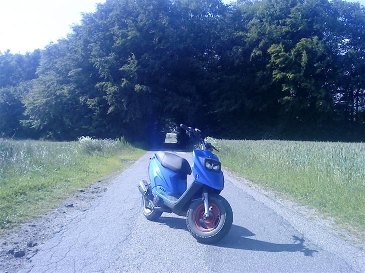 PGO hot 50 (Solgt) billede 4