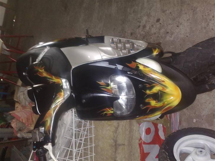 Gilera stalker byttet til storm - nyt billede 3