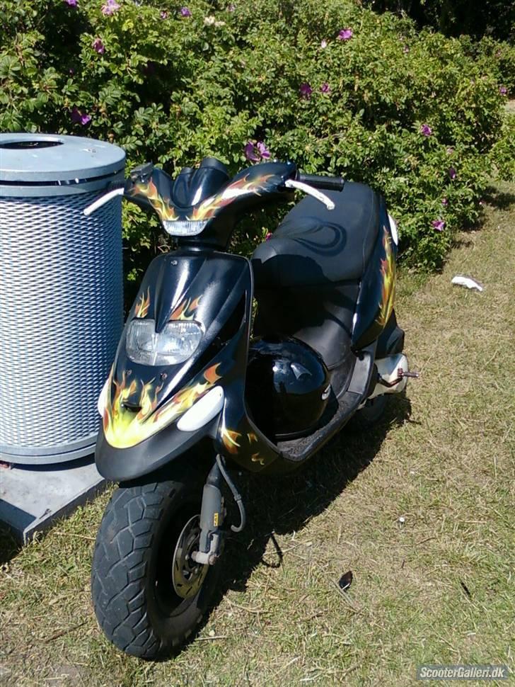 Gilera stalker byttet til storm - nyder solen billede 8