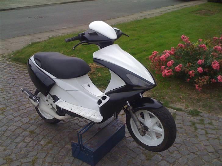 Benelli 491 70ccm AC - Som hun står nu. Det er Willy fra Befri Willy billede 1