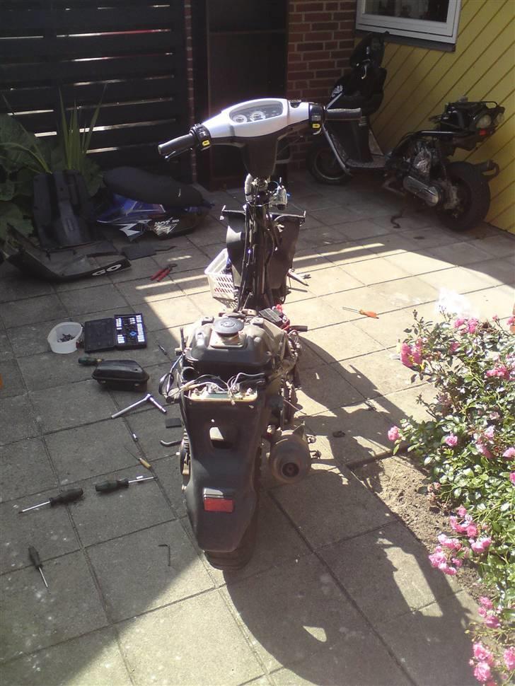 PGO Hot 50  - synd en scooter fra 06 ser sådan ud, men bliver der rådet bod på nu !  billede 4