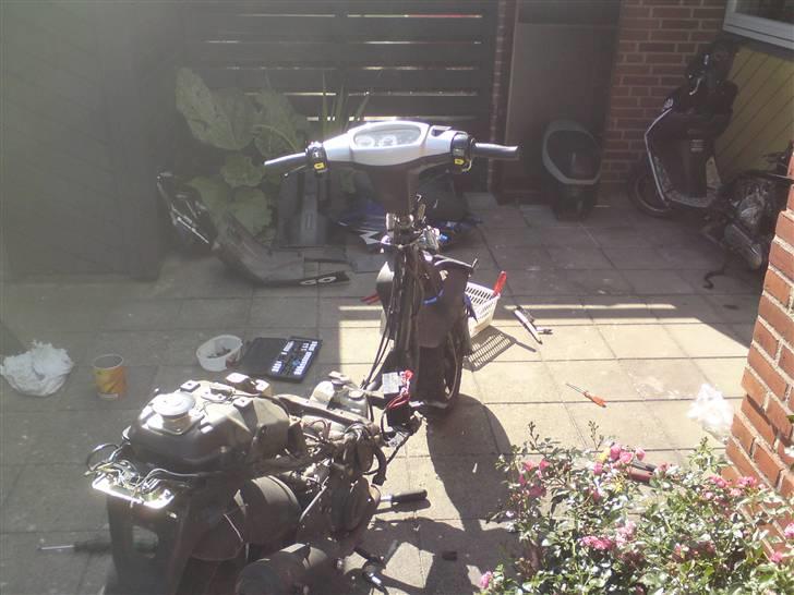 PGO Hot 50  - synd en scooter fra 06 ser sådan ud, men bliver der rådet bod på nu !  billede 5