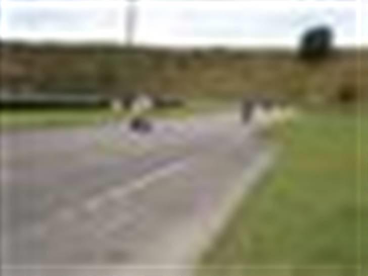 Piaggio zip sp billede 4