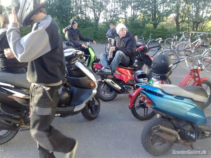 PGO Dr. big Sport Pro - Nogle af drengene.. :D (mig til venstre på Biggen.. ;b) billede 15