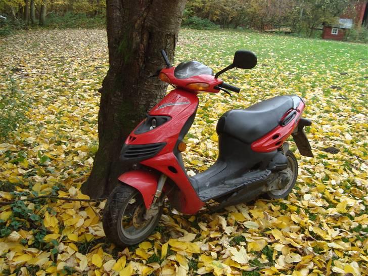 Suzuki Katana  - NYT ..- NOVEMBER billede 5