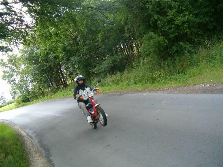 Suzuki fz50 billede 6