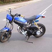 Suzuki Street Magic